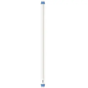 Philips, Ampoule, Leuchtstoffröhre (G13, 8 W, 850 lm, 1 x, E) pas cher