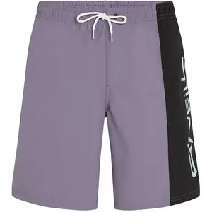 O´neill Short De Bain Retro 19´´ pas cher