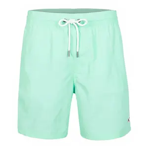O'Neill heren vert zwemshort logo blauw III pas cher
