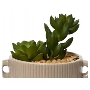 Kaemingk - Decoratieve Kunstplant - Cactus - 13x13 cm - Ovale Pot
