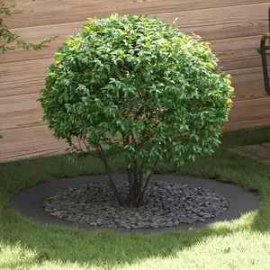 vidaXL Ensemble de Jardinières Noires Noir Plastique Grand Durable pas cher