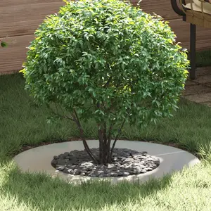 Comparateur de prix : vidaXL vidaXL Pot en métal galvanisé Galvanisé Fer galvanisé Grand Durable