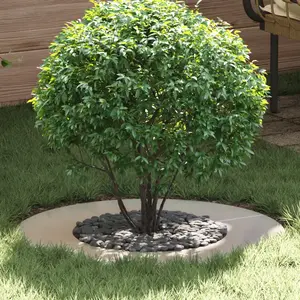 Comparateur de prix : vidaXL adapté pour anneau d'arbre plat Argent Ø40 / 70 cm