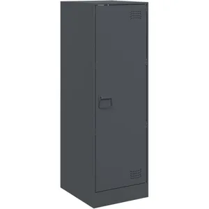 vidaXL Buffet anthracite 34,5x39x107 cm acier pas cher