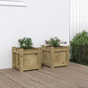 vidaXL Jardinières 2 pcs bois de pin imprégné pas cher