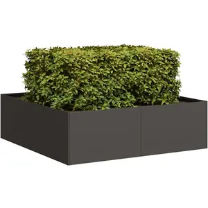 vidaXL Jardinière noir 100x100x30 cm acier pas cher