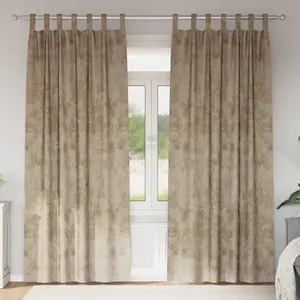 vidaXL rideaux 2 pcs avec oeilletons Champagne 260x140 cm pas cher