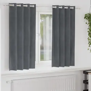 vidaXL Rideaux occultants 2 pcs Gris clair 140 x 175 cm Velours pas cher