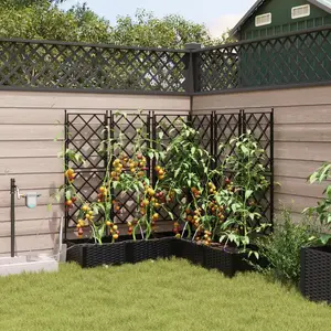 vidaXL Vidaxl Jardinières Avec Système D'irrigation 5 Pcs Noir pas cher