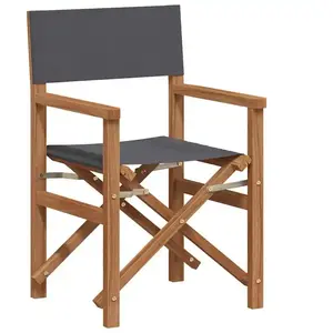 vidaXL Chaise de directeur pliante Gris 56 x 54 x 87 cm pas cher