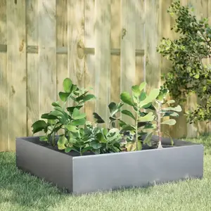 vidaXL Lit surélevé de jardin 100x100x25 cm acier inoxydable pas cher