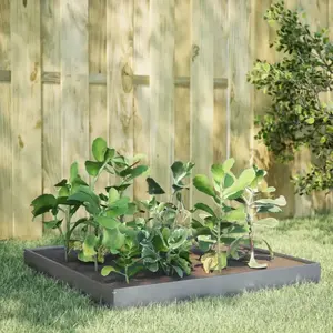 Comparateur de prix : vidaXL Lit surélevé de jardin 100x100x18,5 cm acier inoxydable