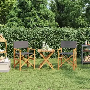 vidaXL Chaises de metteur en scène pliantes lot de 2 Bois teck massif