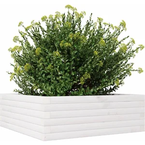 vidaXL Jardinière blanc 70x70x23 cm bois de pin massif pas cher