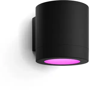 Philips Hue Muscari Spot Mural Extérieur 929004444401 pas cher