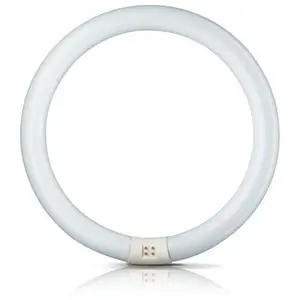 Tube Fluorescent Circulaire 22w Ø21cm Triphosphor 865k Lumière Froide Philips pas cher