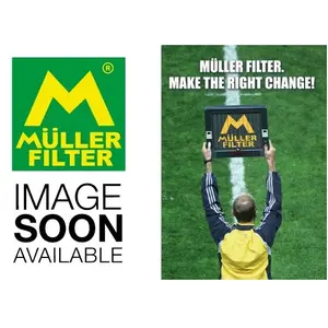 Luchtfilter PA3731 Muller Filter pas cher