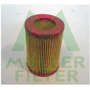 Luchtfilter PAM246 Muller Filter pas cher