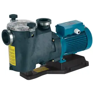 Pompe de Circulation et Filtration pour Piscine avec à filtre MPC21m Mono 0,75Hp - CalpedaVendu parcdiscount