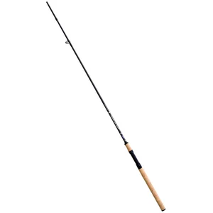 Lineaeffe Canne Spinning MasternVendu parwaveinn