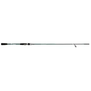 Fishing Ferrari Canne Spinning Gt pas cher