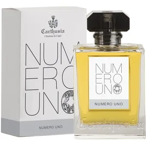 Men's Perfume Carthusia 100 ml pas cher