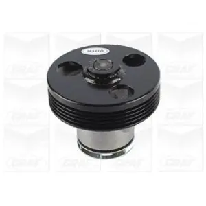 Waterpomp PA1220 Graf pas cher