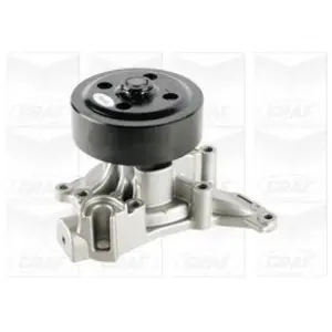 Waterpomp PA1241 Graf pas cher