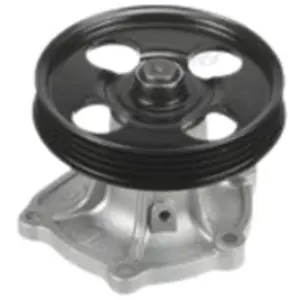 Waterpomp PA718 Graf pas cher