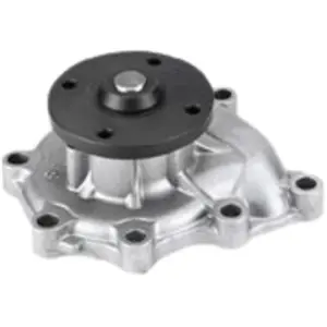 Waterpomp PA816 Graf pas cher