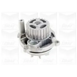 Waterpomp PA904 Graf pas cher