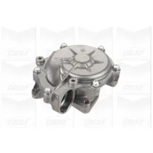 Waterpomp PA893 Graf pas cher