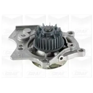 Waterpomp PA1072 Graf pas cher