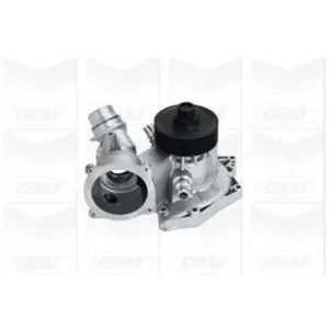 Waterpomp PA1074 Graf pas cher