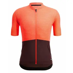 Santini Maillot à Manches Courtes Colore Riga pas cher