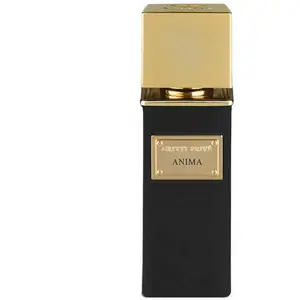 Perfume pour hommes Gritti Anima extrait de Parfum Edp 100 ml pas cher