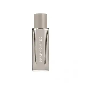 Ferragamo Bright Leather Bright Leather, Eau de toilette pour homme, c... pas cher