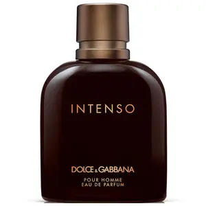 Comparateur de prix : DOLCE & GABBANA - Intenso Pour Homme Eau De Parfum - 200 ml - Heren eau de parfum