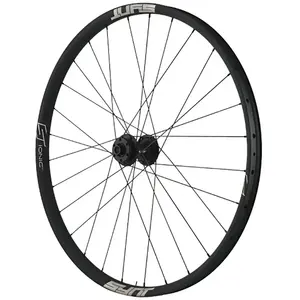 Synt Roue Avant Vtt Ionic I33 29´´ Boost 6b Disc Tubeless pas cher