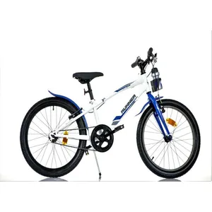 F.LLI SCHIANO SCH RUNNER 20'', vélo pour enfants, adapté aux enfants de 6 à 10 ans, de 120 à 155 cm, avec sonnette et bidon, bleu pas cher