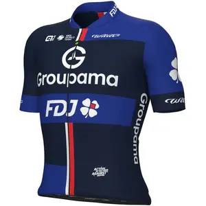 Ale Maillot à Manches Courtes Prime Groupama Fdj 2025 pas cher