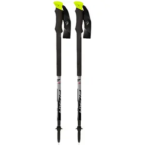 Fizan Bâtons Compact Pro pas cher