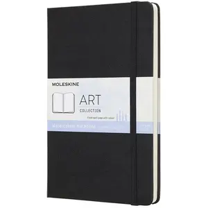 Moleskine Carnet aquarelle grand format pas cher
