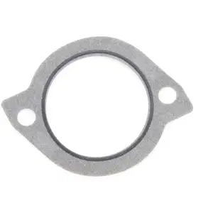 Pakking thermostaat 79520 Facet