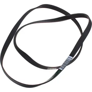 WHIRLPOOL - SNAAR POLY-V 1239 PJ5 ELASTISCH - 481235818215