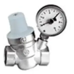 Thermador Réducteur de pression 3/4 avec manomètre - R53320M pas cher
