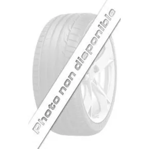 Pirelli Scorpion All Terrain Plus 235/65 R17 108H pas cher