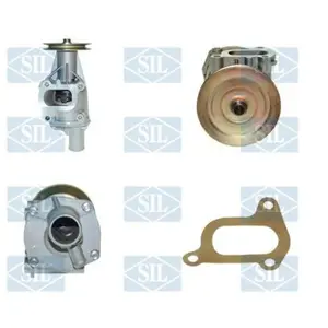 Saleri SIL Waterpomp pas cher