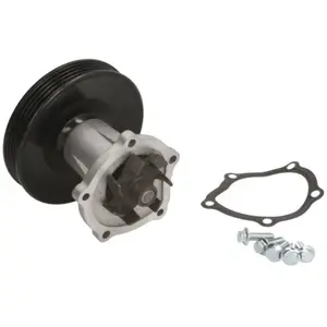 Waterpomp PA1587 Saleri pas cher
