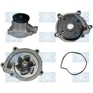 Comparateur de prix : Waterpomp PA1600 Saleri